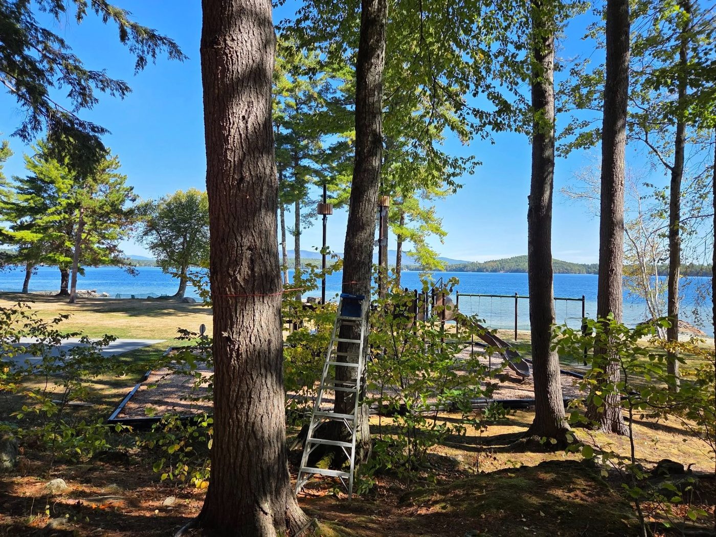 Water view backyard before a custom treehouse build