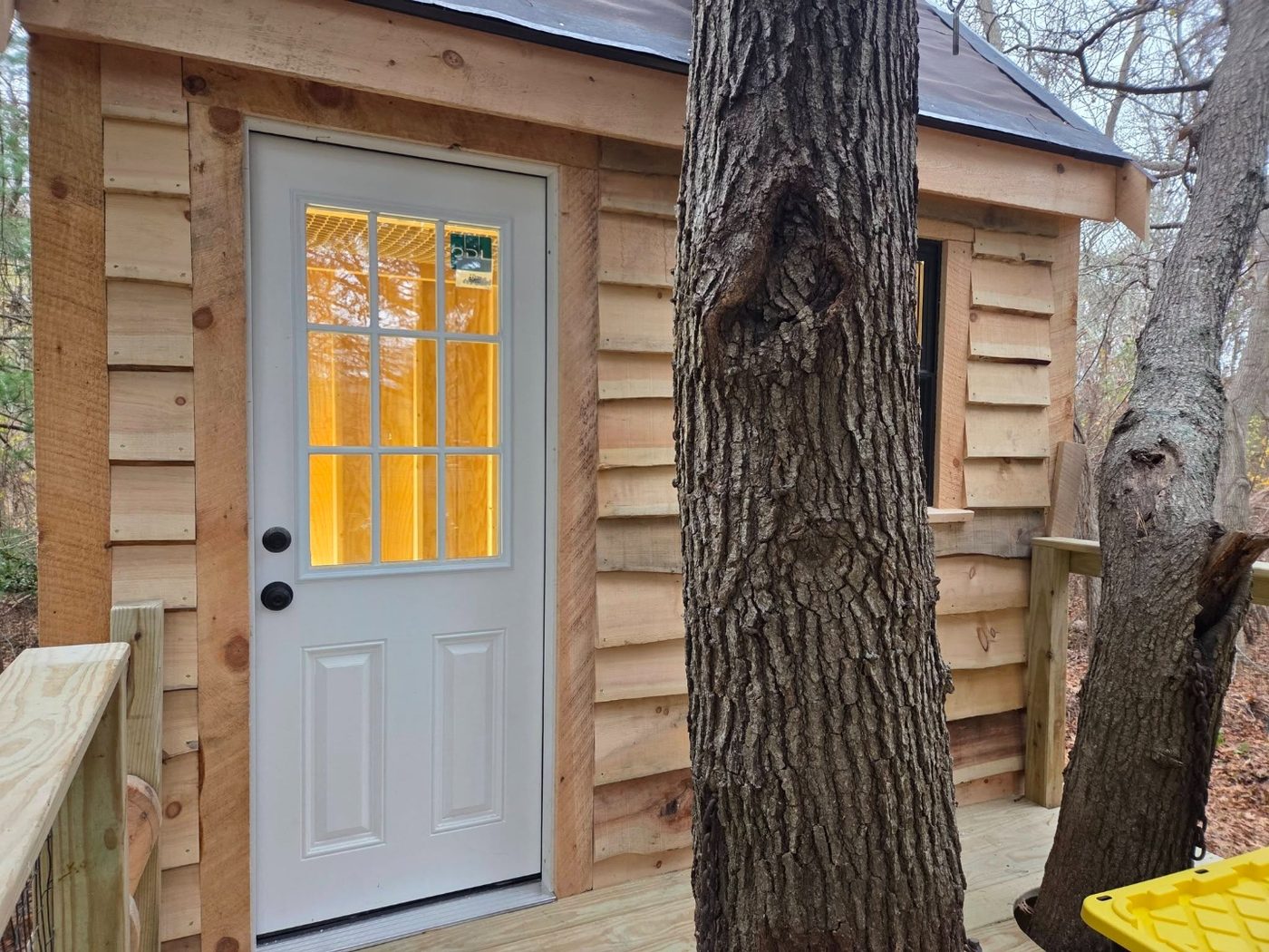 Live edge siding detail and nine-lite door on an enclosed treehouse