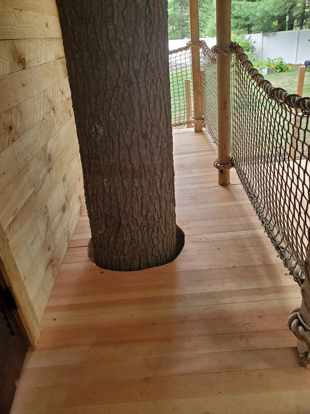 Treehouse deck with net railing around a tree trunk
