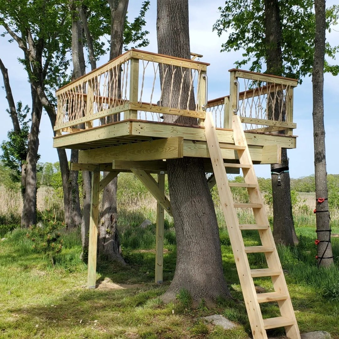 One-tree treehouse platform with rope railing and ladder