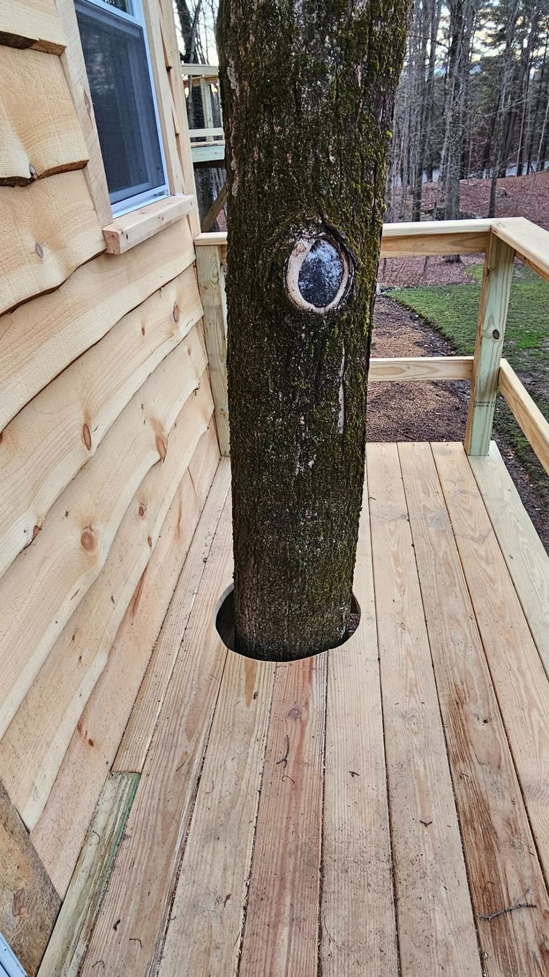 Pressure-treated decking with a porthole opening around a tree trunk
