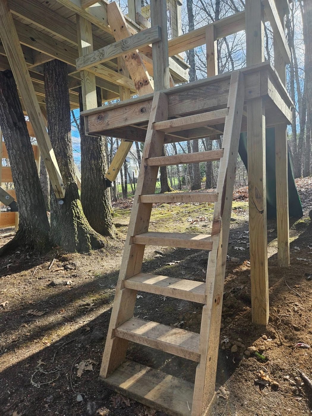 Ship-style ladder and stair access on a treehouse structure