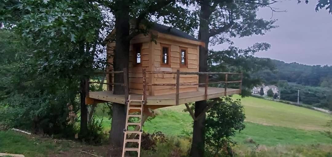 Two-tree natural branch treehouse build on a wooded property