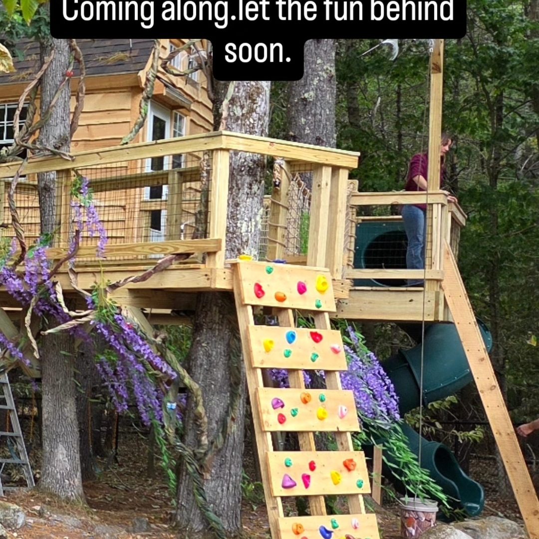 Weathertight treehouse with rock wall and colorful climbing holds