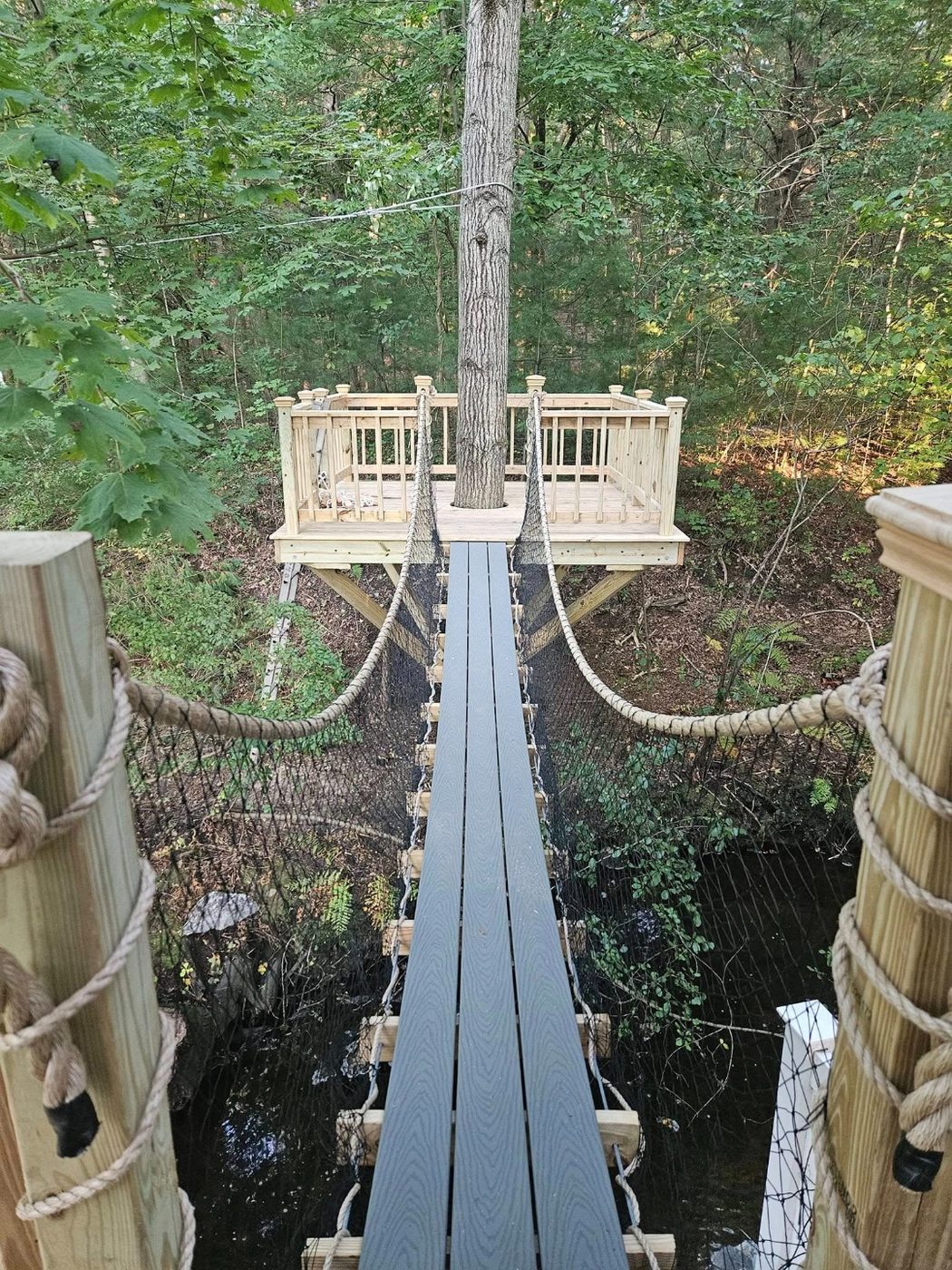 Backyard zipline running from an elevated treehouse platform